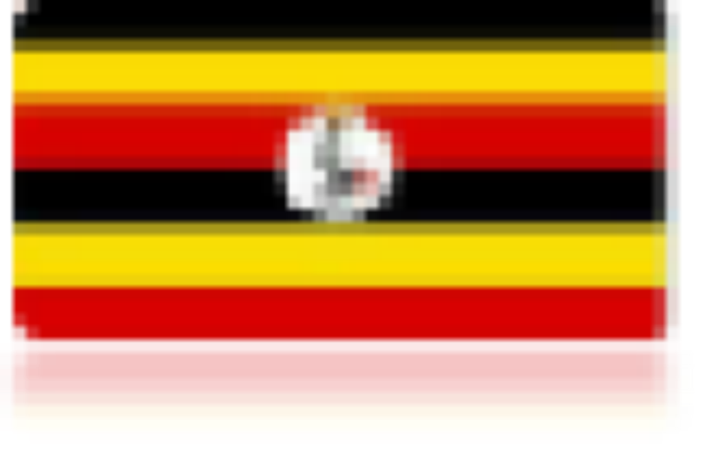 Chapter four Uganda Report 2021