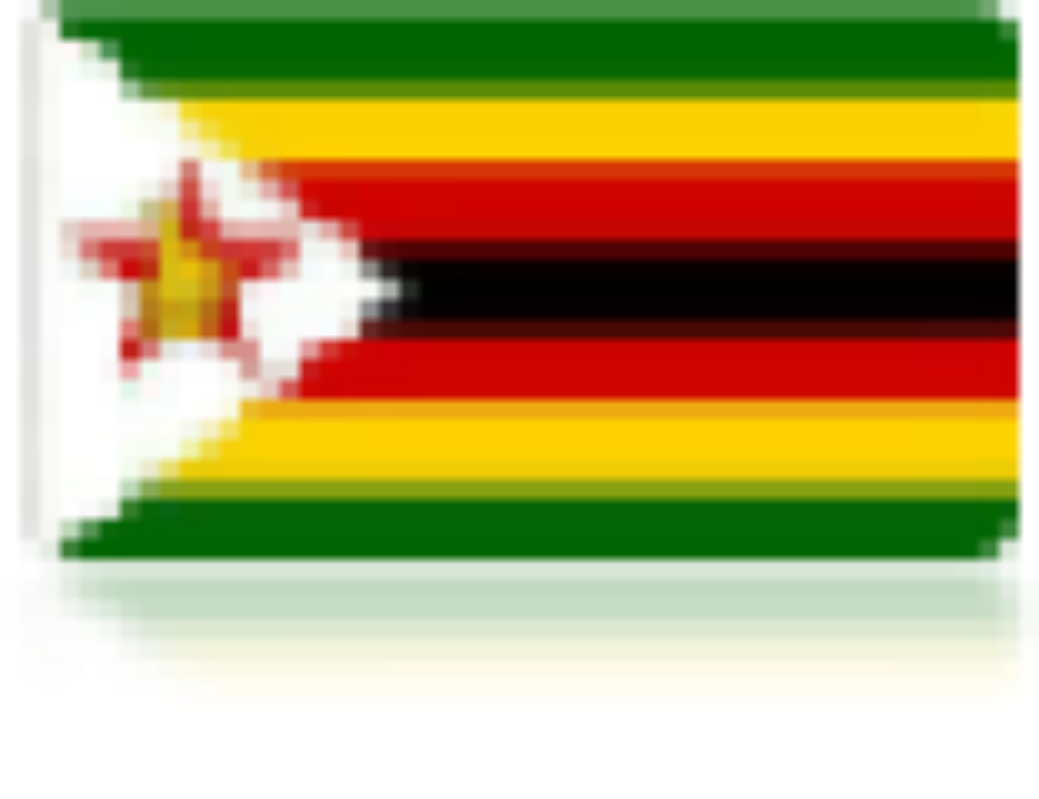 Chapter four Zimbabwe Report 2021